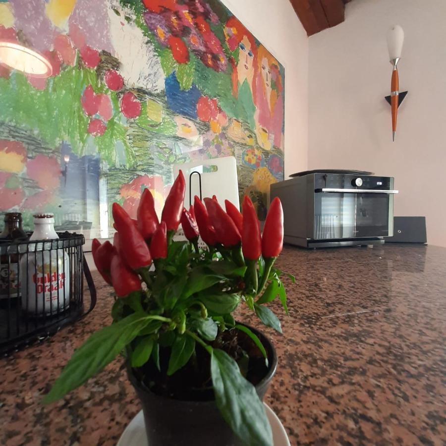 Loft Trabucco - In The Heart Of Salo City Center, Lake View, 4 Rooms 외부 사진